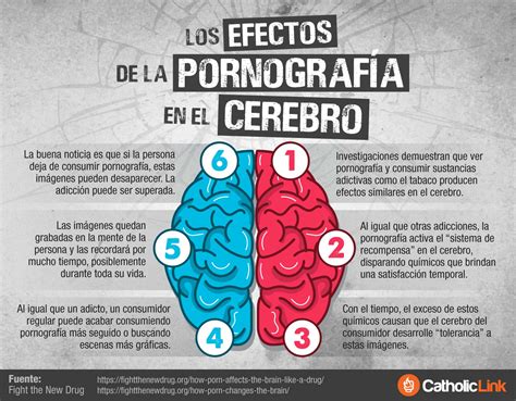 por nografico|Estos son los efectos de la pornografía en el cerebro .